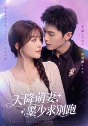 天降萌妻，墨少求别跑